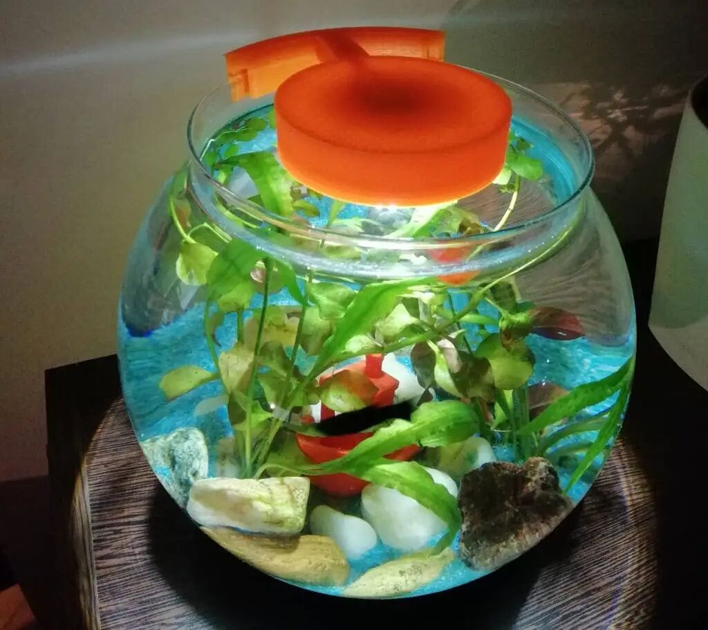 Aquarium Lighting II: Say Goodbye to Expensive Aquarium Lights, 3D Printing Opens a New Era of Cost-Effective Aquarium Illumination