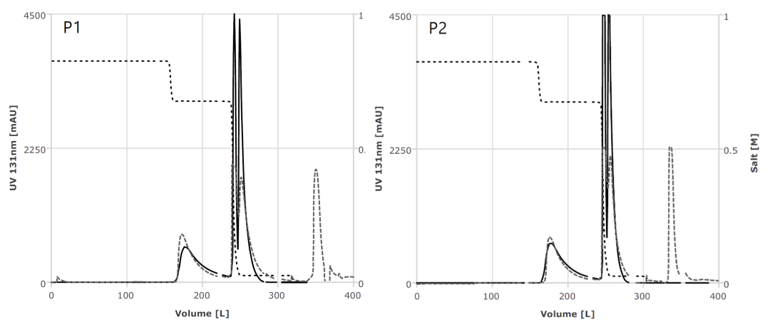 Breakthrough in ADC Purification: GoSilico Mechanism Modeling Aids Precise Separation