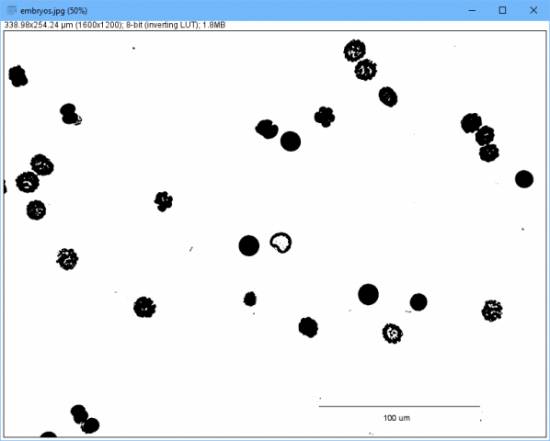 Scientific Image Processing on Linux