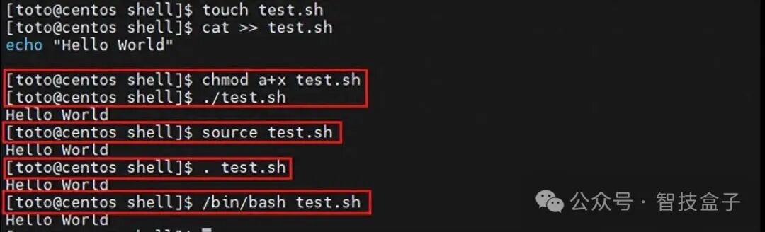 Unlocking Linux: Shell Programming Variables
