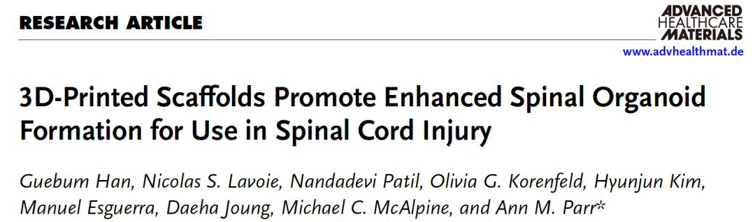 3D-Printed Scaffolds Promote Enhanced Spinal Organoid Formation for Use in Spinal Cord Injury