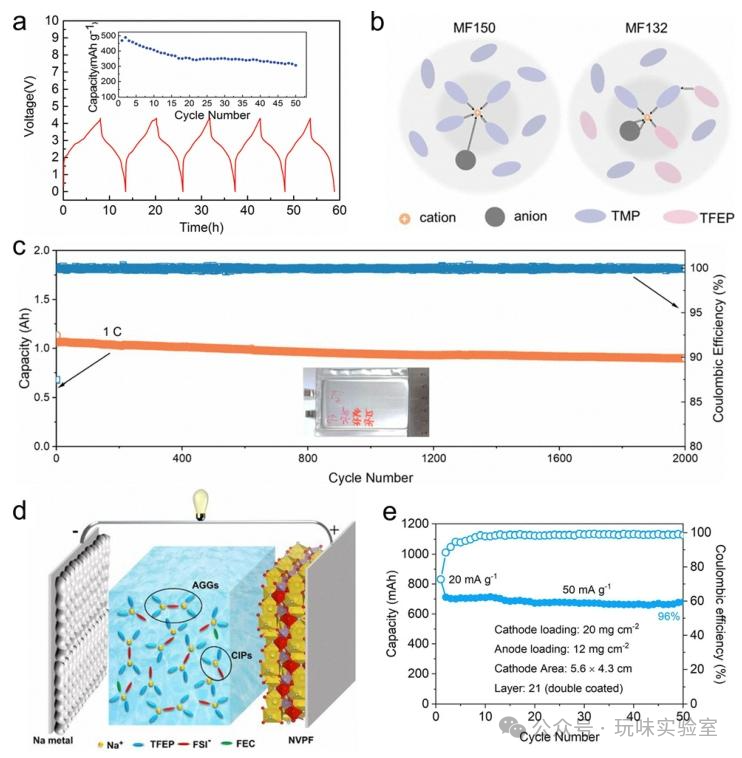 Latest Review by Wuhan University Team in Chem Soc Rev: Recent Research and Prospects of Non-flammable Electrolytes for Sodium-ion Batteries