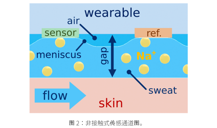 Development of a Bionic Non-Contact Sweat Sensor