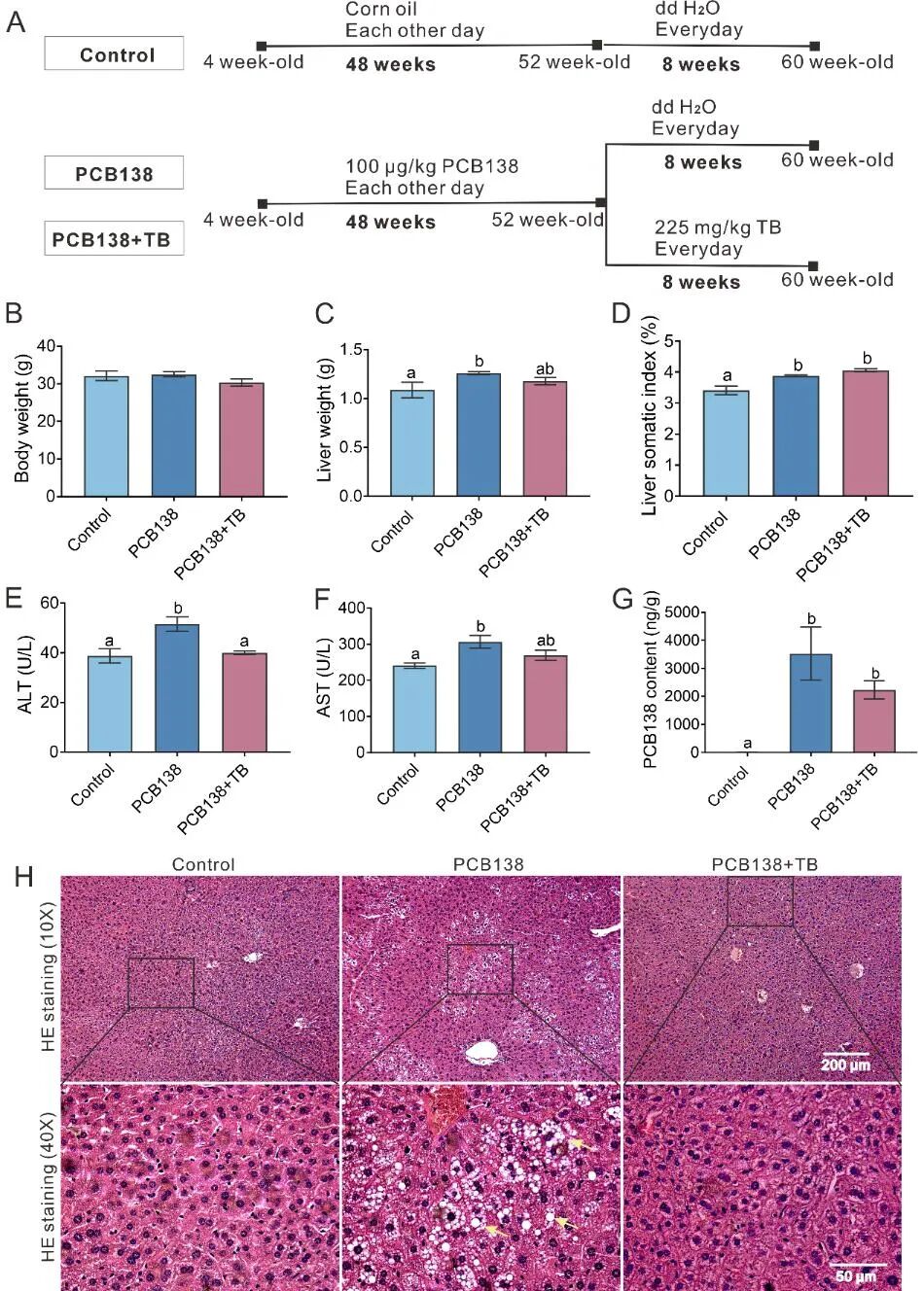 Research on the Mechanism of PCB138-Induced Metabolic-Related Fatty Liver Disease and Intervention with Theabrownin by the Team of Professor Zuo Zhenghong and Professor He Chengyong from Xiamen University