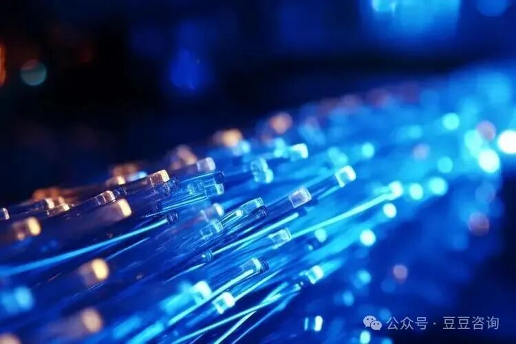 Analysis of the v2s Data Structure for Single Path Mapping in Elastic Optical Network Virtualization Java Implementation