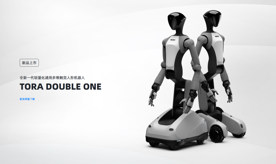Embodied Intelligent Robots: Beyond Bipedal Humanoids at the 2025 World Robot Conference