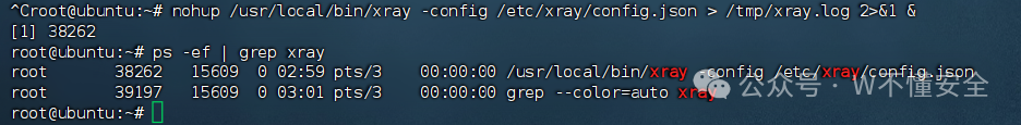 Using Xray for Proxy Traffic Splitting on Domestic Servers/Linux Systems to Solve the Challenge of Accessing Overseas Resources