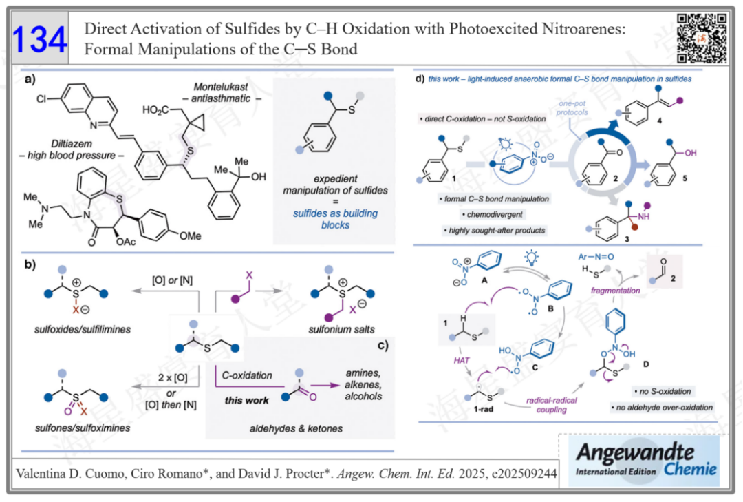 Direct Activation of Sulfides by C–H Oxidation with Photoexcited Nitroarenes: Formal Manipulations of the C─S Bond