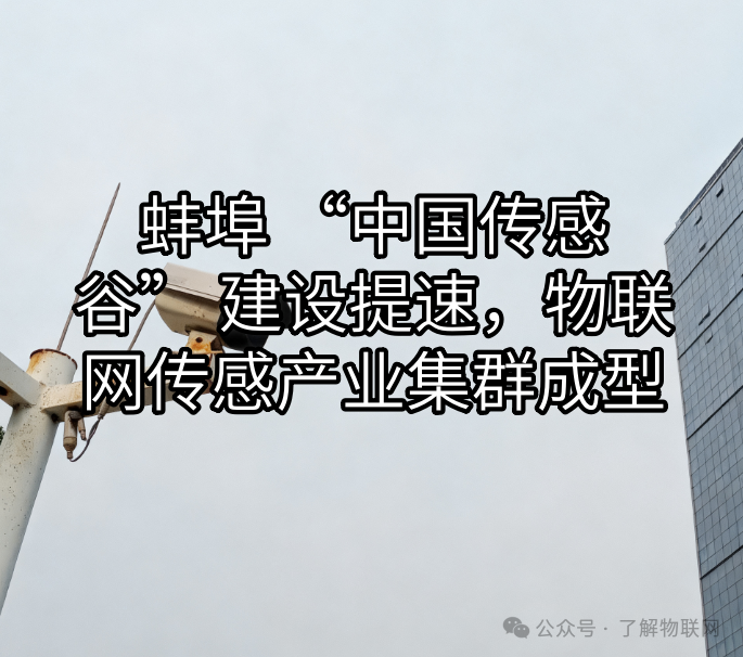 Bengbu Accelerates the Construction of 'China Sensor Valley', Forming an IoT Sensor Industry Cluster