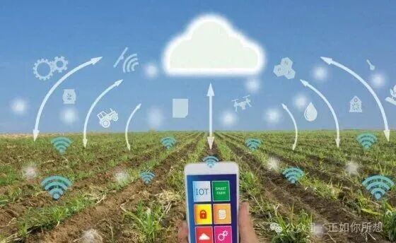 Breakthroughs in Agricultural IoT: Sensors Measure Soil in Real-Time, AI Predicts Yield with 92% Accuracy
