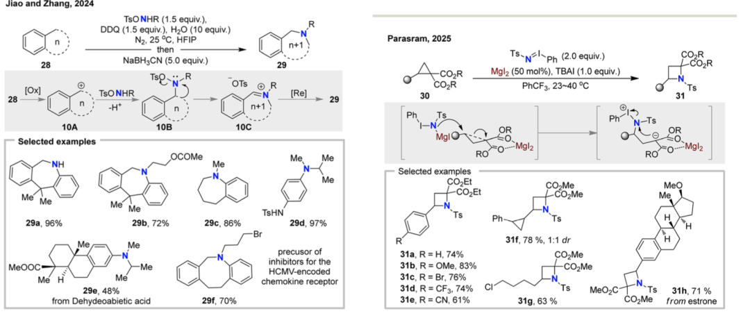 Review by Professor Hongjian Lu's Team at Nanjing University | Recent Advances in Skeleton Editing Based on Nitrogen Atom Manipulation