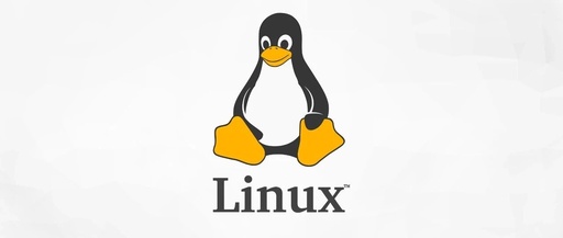 Why Programmers Must Use Linux