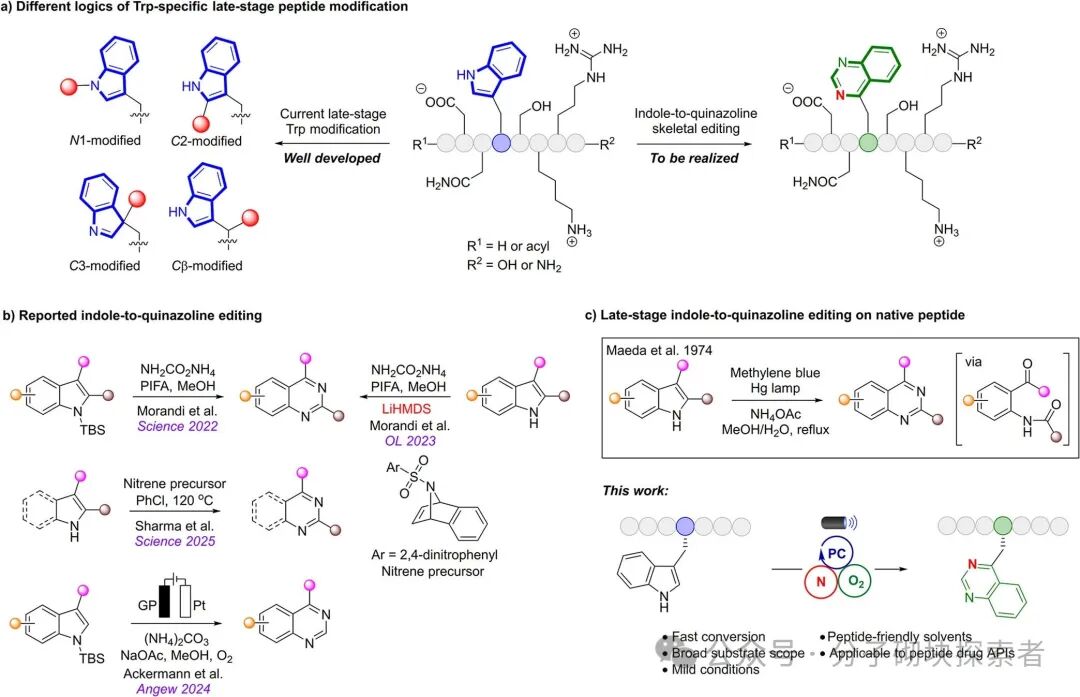 Photocatalytic Indole Ring 'Editing' to Quinazoline for Tryptophan Site-Specific Peptide Modification