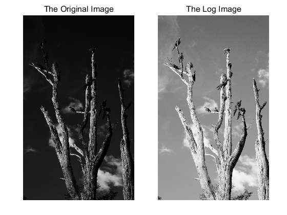 MATLAB Image Processing | Logarithmic Transformation Code Design (Complete Code Included)