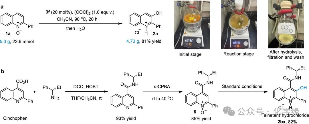 Organocatalytic Meta-C-H Hydroxylation of Azaarene N-Oxides by the Team of Hua Wu at Shanghai Jiao Tong University