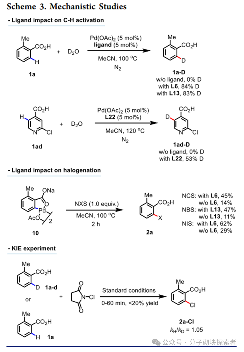 New Horizons in C–H Bond Halogenation Technology: A Practical Ligand Facilitating Efficient Halogenation of Aromatic Rings