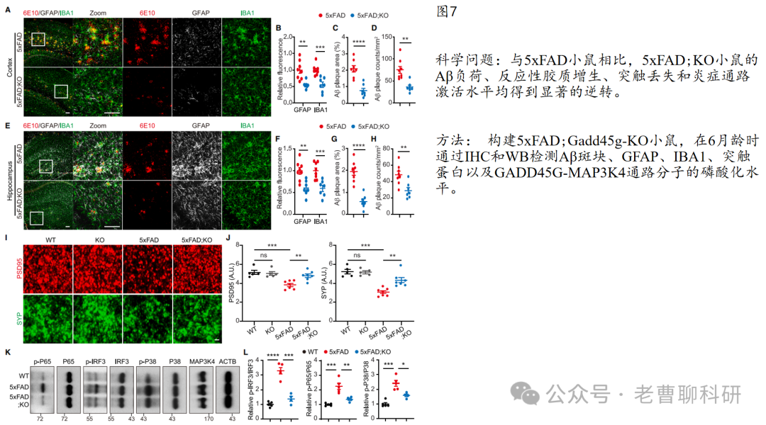 GADD45G as a Pathological Sensor: Coordinating Reactive Gliosis and Neurodegeneration