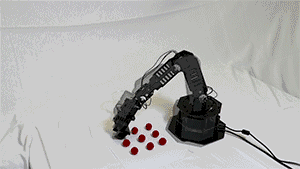 Have Robots Achieved 'Self-Awareness'?