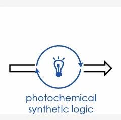 Photochemical Retrosynthetic Analysis Strategy Aids in Developing the Shortest Synthesis Route for Three Stemoamide Alkaloids