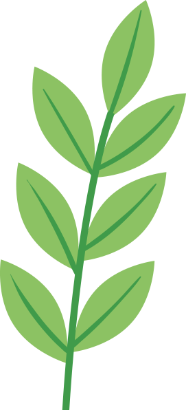 Literature Sharing | Interaction of Calcium Sensor Kinase Pathway with TOR Complex Balances Growth and Salt Tolerance in Arabidopsis