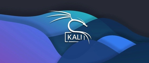 How to Properly Update the System in Kali Linux?
