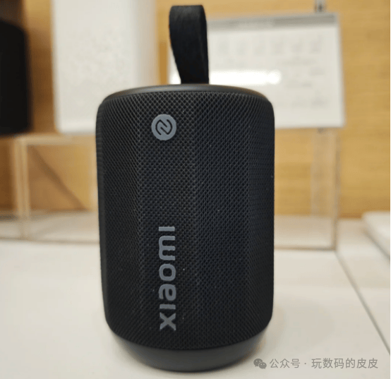 Which Brand of Bluetooth Mini Speakers is Best? Top 10 Selected Brands for Outdoor Use