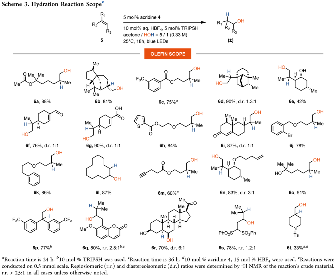 N-Protonated Acridinium Catalyst Enables Anti-Markovnikov Hydration of Unconjugated Tri- and Disubstituted Olefins