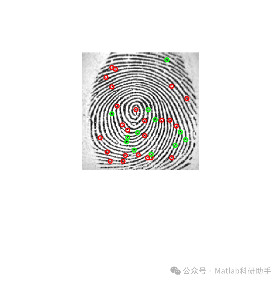 Fingerprint Recognition: Applications and MATLAB Code