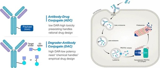 New Frontiers in Medicinal Chemistry: In-Depth Analysis of DAC Technology