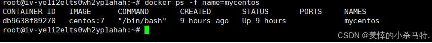 Mastering Docker End-to-End: Container Management, Nginx Homepage Customization, BusyBox Tool Practice, and Tencent Cloud Repository Deployment