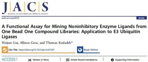 A Functional Assay for Mining Noninhibitory Enzyme Ligands from One Bead One Compound Libraries: Application to E3 Ubiquitin Ligases