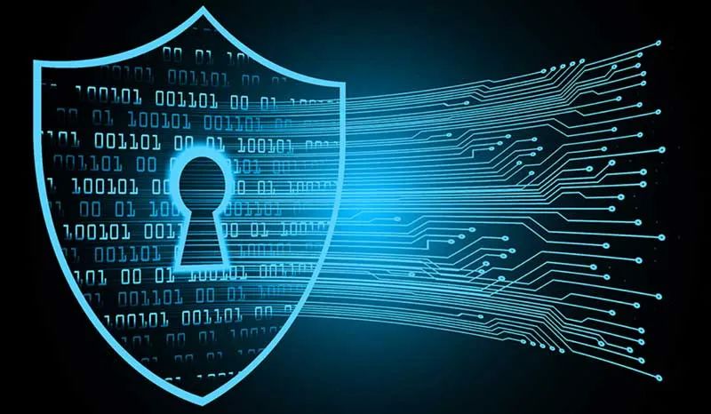 Compilation of Typical Cases in Network and Data Security (Issue 14)