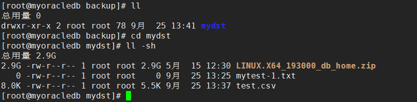 9 Usage Tips and Precautions for the 'mv' Command in Linux