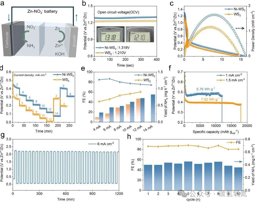 Metal-Support Interaction Breakthrough: Ni-WS₂ Nanosheet Catalyzes Nitrate Electroreduction with Ammonia Yield Exceeding 23 mgh⁻¹cm⁻²