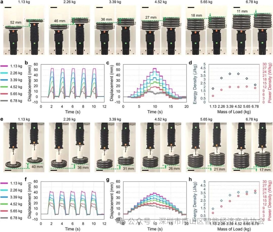 When Robots Grow "Rubber Muscles": A Breakthrough from Northwestern University Transforms Rigid Machines into Agile Performers