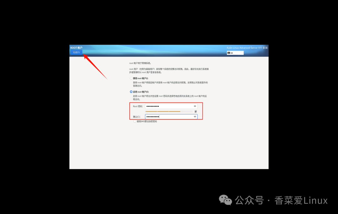 Kylin V11 System (Kylin Linux Advanced Server V11) VMware Installation Guide
