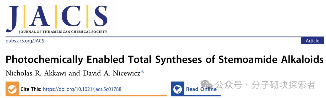 Photochemical Retrosynthetic Analysis Strategy Aids in Developing the Shortest Synthesis Route for Three Stemoamide Alkaloids