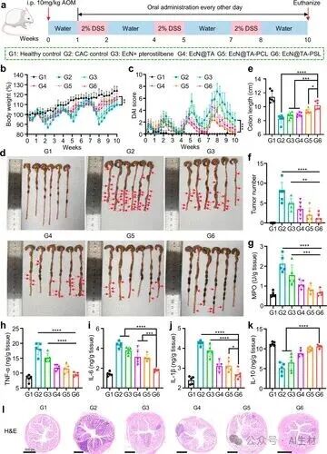 Oral Probiotic-Drug Conjugates for Targeted Colonization and On-Demand Drug Release in the Treatment of Ulcerative Colitis and Its Complications