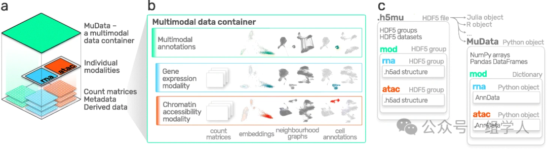Best Practices for Single-Cell Analysis: 3. The Core Analysis Ecosystem of Python - scverse