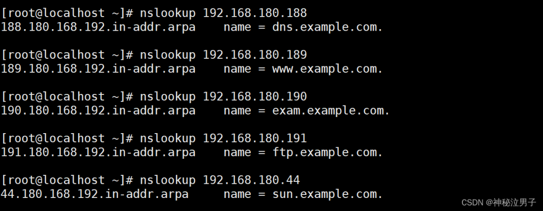 Setting Up a DNS Domain Name Resolution Server on Linux (Detailed Version)