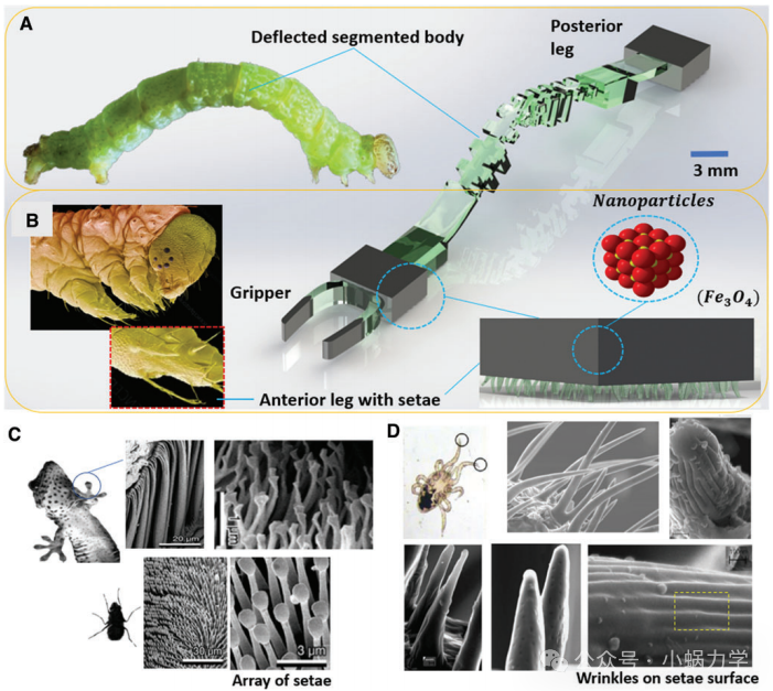 Breakthrough in 3D Printed Soft Robots! Load Capacity 30 Times Their Weight, Precise Navigation in Slippery Environments