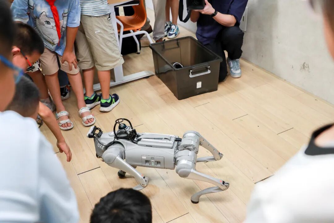Youth in Fengxian Develop Unique Summer Courses for Kids
