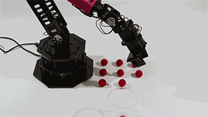 Have Robots Achieved 'Self-Awareness'?
