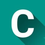 C Language - Chapter 13: Functions and One-Dimensional Array Exercises