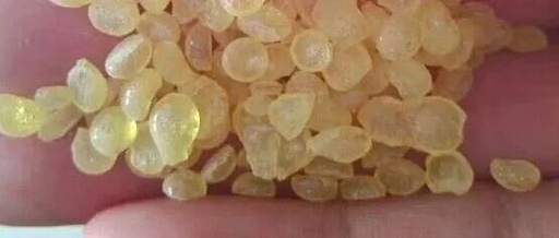 DRT France Pine Rosin Pentaerythritol Ester PLS