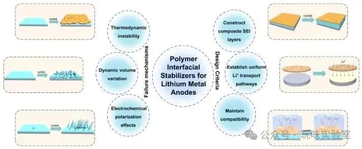 Advancements in Polymer Materials Driving Progress in High Energy Density Lithium-Ion Batteries