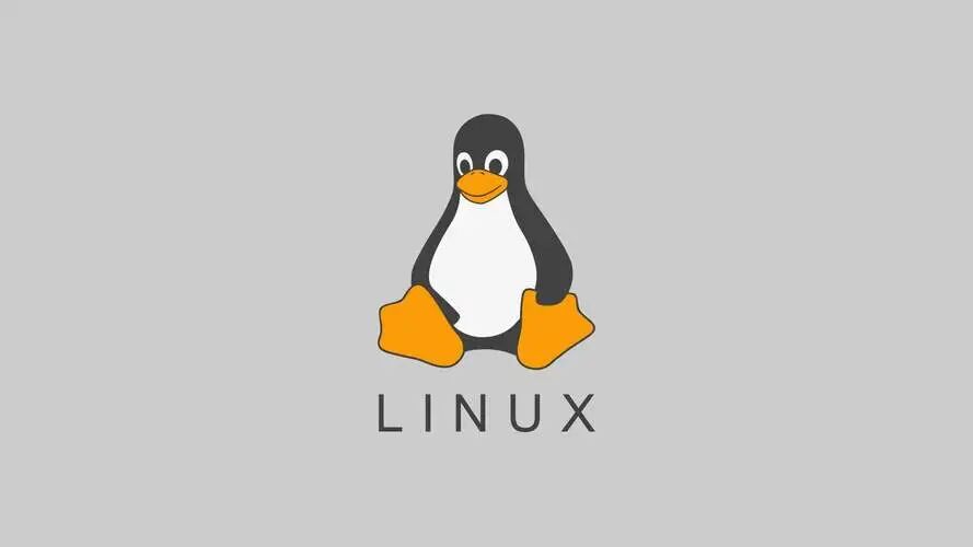 The Traps in Filenames: A New Type of Linux Malware Attack Chain Exposed