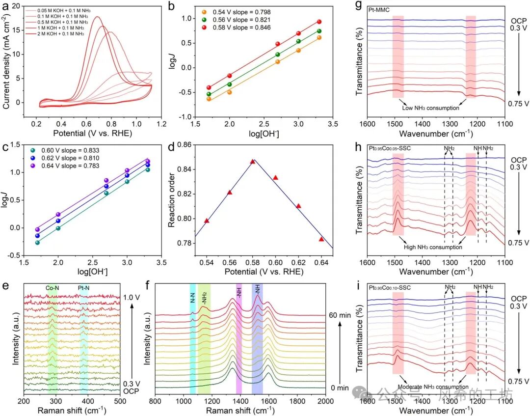 JACS: Breakthrough in Power Density of Direct Ammonia Fuel Cells Achieved with Trace Cobalt-Substituted Platinum Catalysts at 853.75 mW cm⁻²