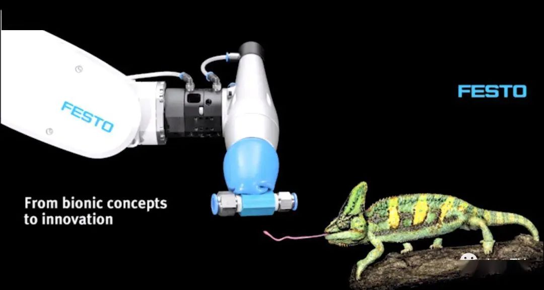 Seizing the Opportunity: Development of Robotic Gripper Technology and Manufacturer Overview