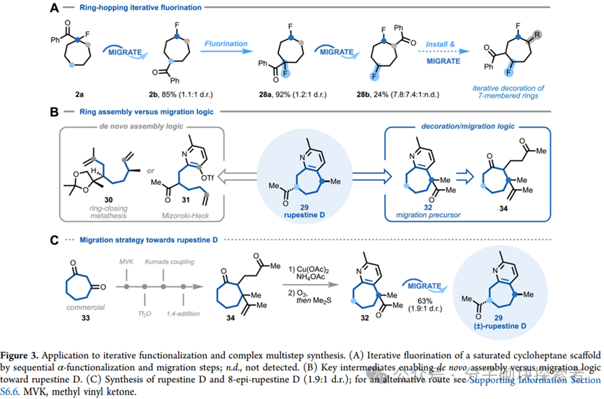 The Elusive Seven-Membered Ring Tamed! A New Photocatalytic Strategy Achieves Site-Selective Modification